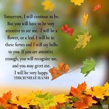 My Personal Tribute to Thich Nhat&nbsp;Hanh